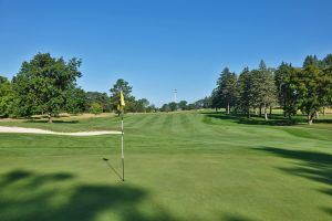 University Of Michigan 15th Back